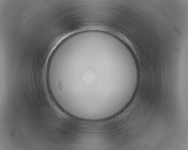 X0000112770836200910011235