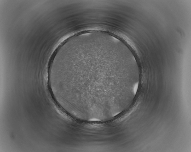 X0000112770837200910011235