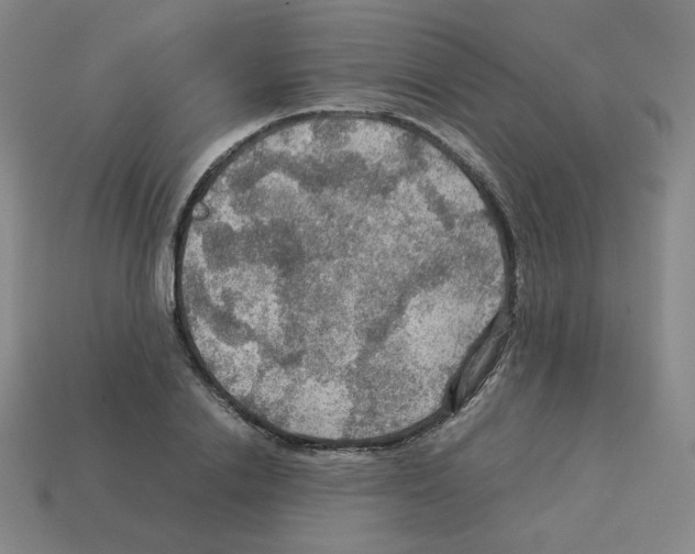 X0000112770838200910011235