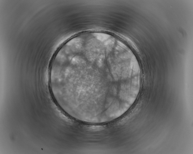 X0000112770839200910011235