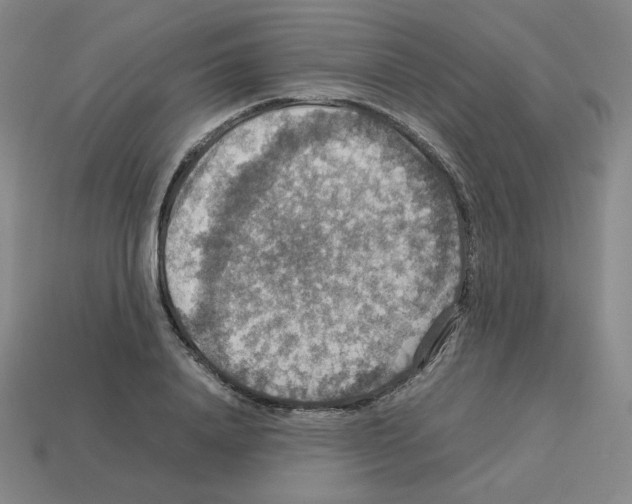 X0000112770840200910011235