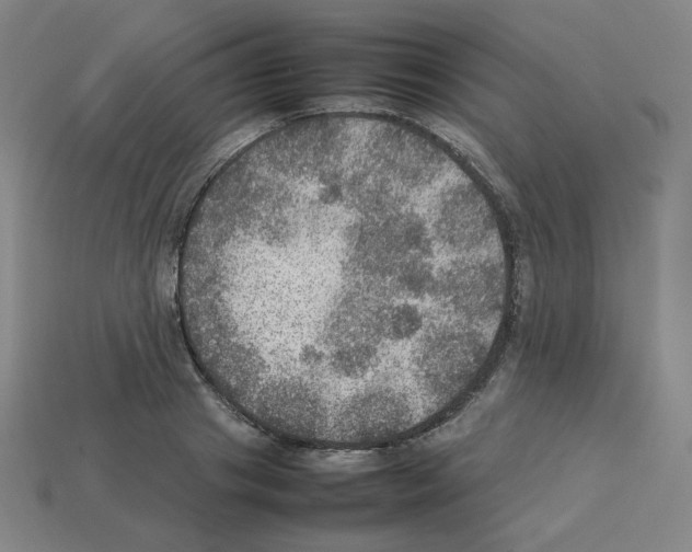 X0000112770841200910011235