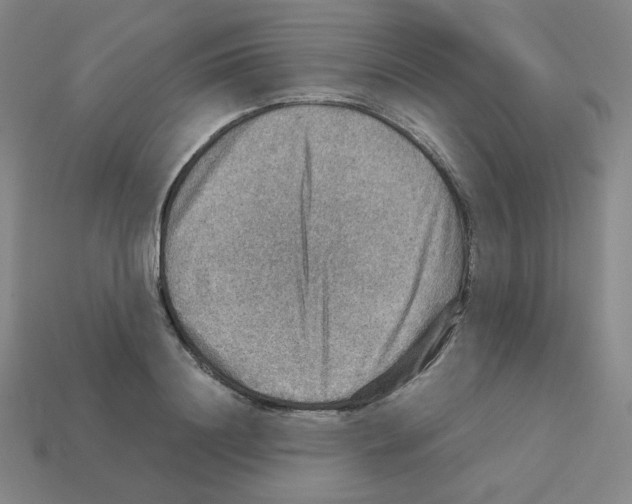 X0000112770844200910011235