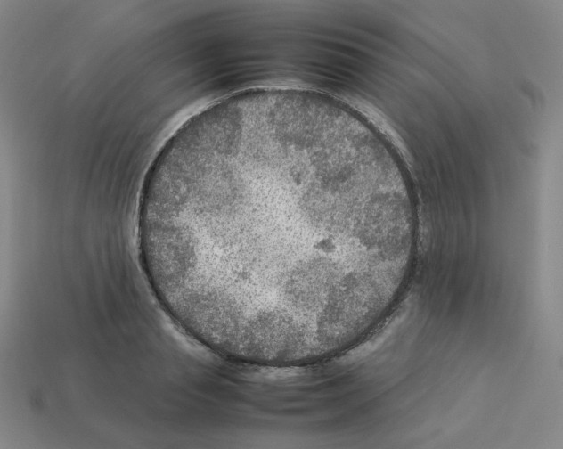 X0000112770845200910011235