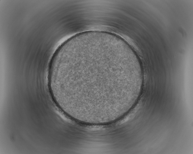 X0000112770846200910011235