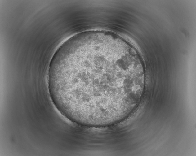 X0000112770847200910011235