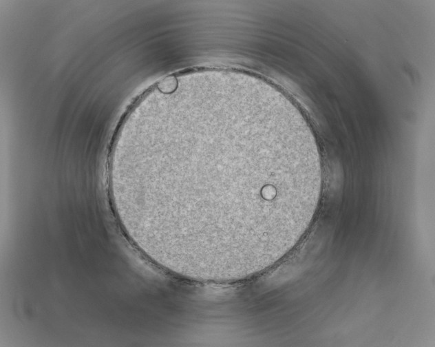 X0000112770848200910011235