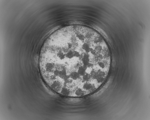 X0000112770849200910011235