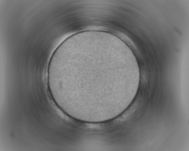 X0000112770852200910011235