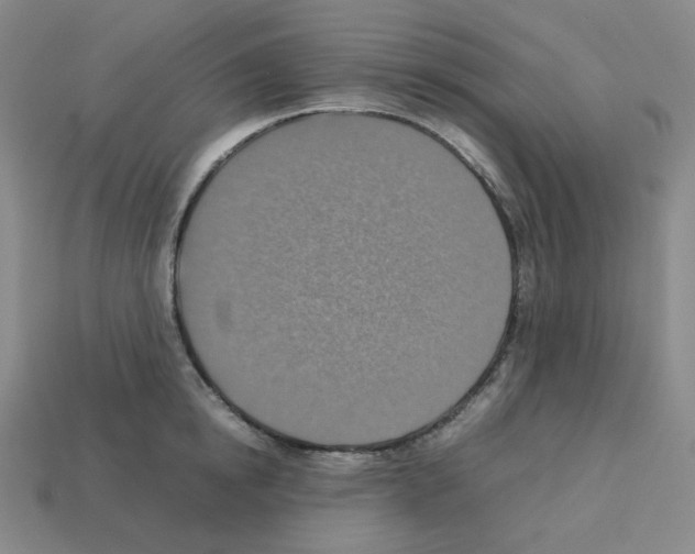 X0000112770854200910011235