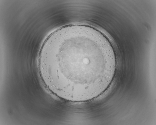 X0000112770856200910011235