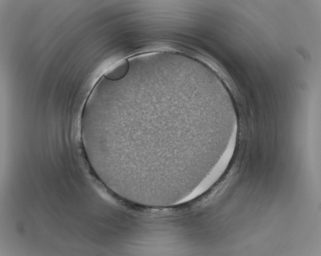 X0000112770858200910011235