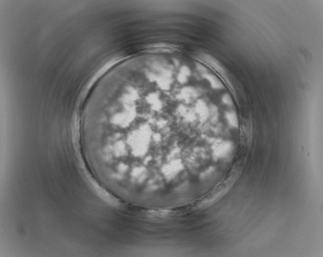 X0000112770859200910011235