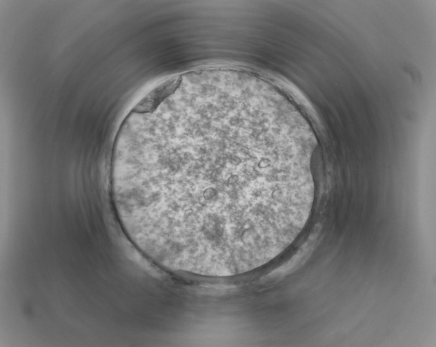 X0000112770860200910011235