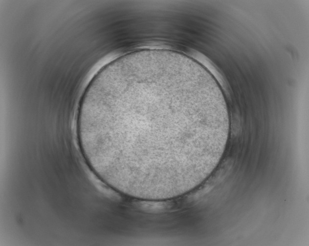 X0000112770861200910011235