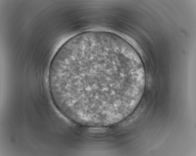 X0000112770863200910011235