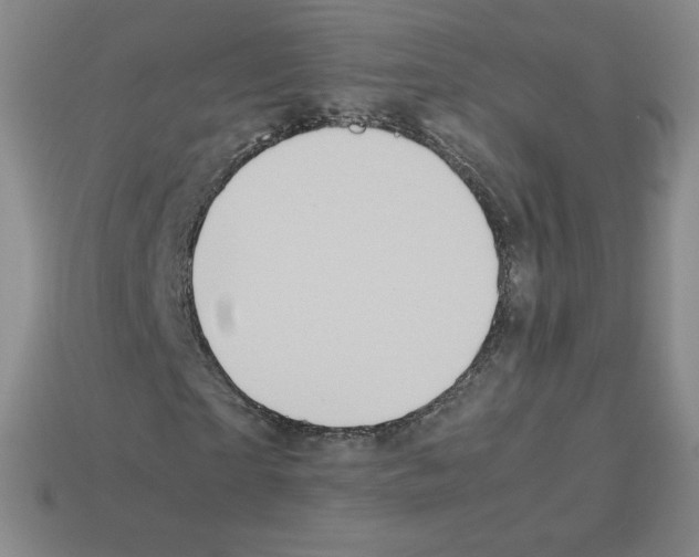 X0000112770865200910011234