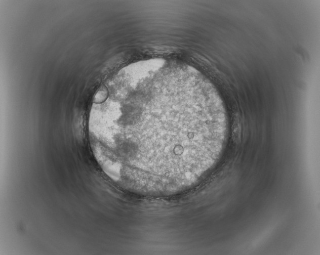 X0000112770866200910011234