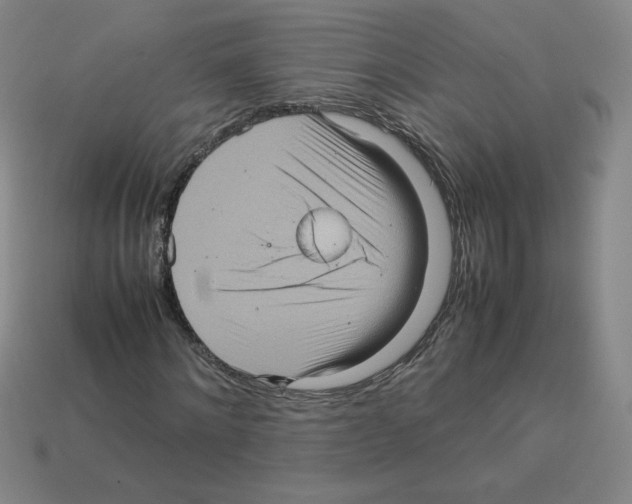 X0000112770868200910011234