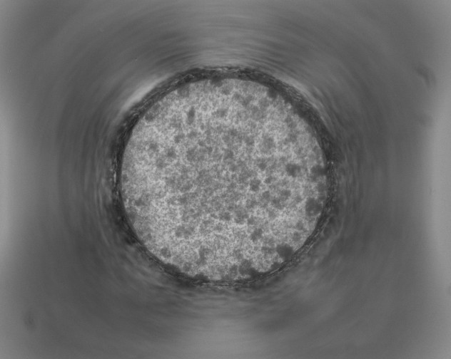 X0000112770871200910011234