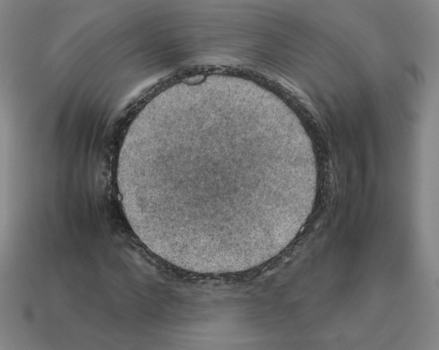 X0000112770872200910011234