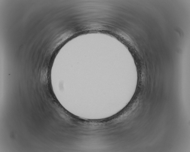 X0000112770873200910011234