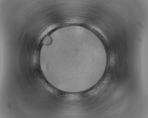 X0000112770874200910011234