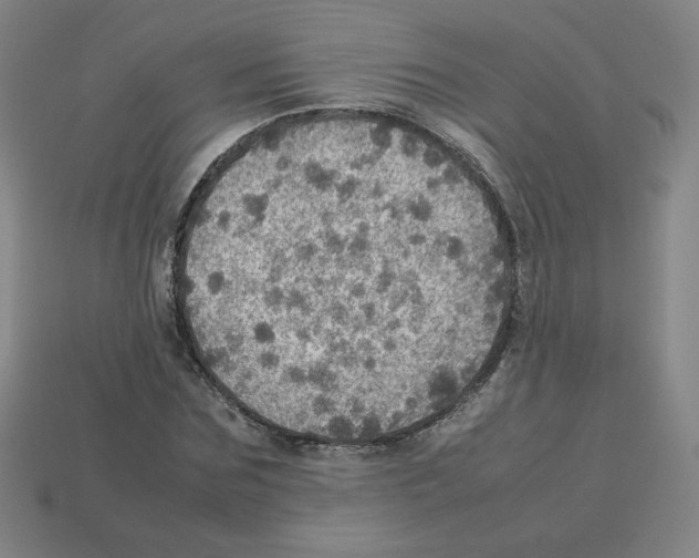 X0000112770875200910011234