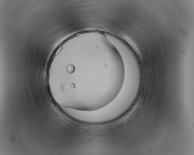 X0000112770876200910011234