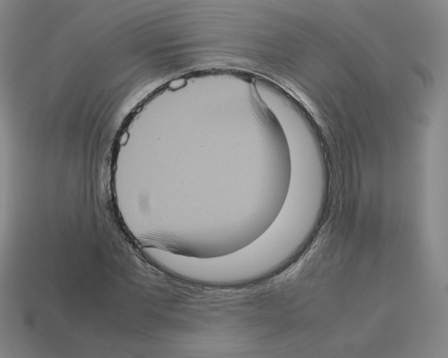 X0000112770877200910011234