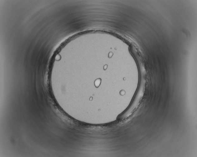 X0000112770880200910011234