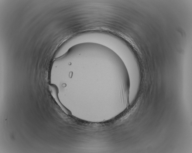 X0000112770881200910011234