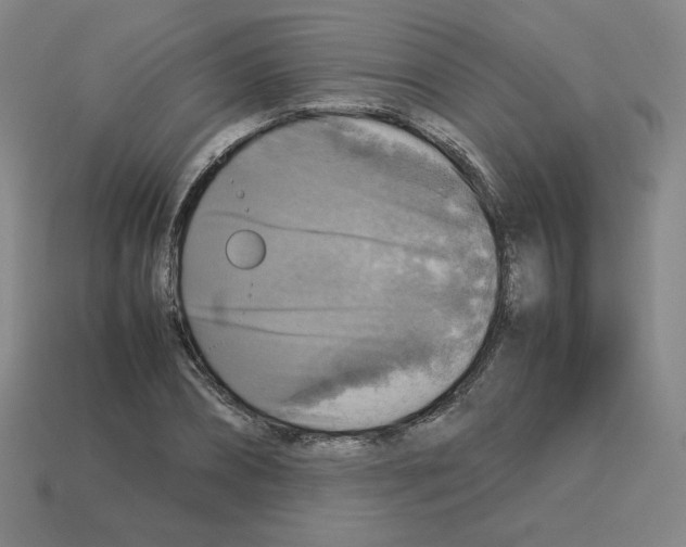 X0000112770882200910011234