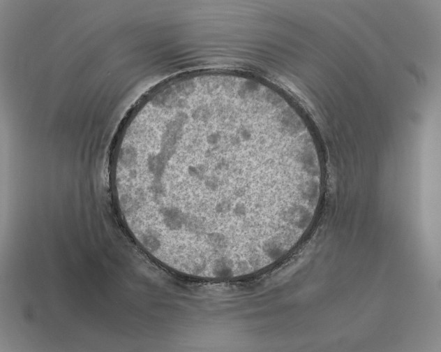 X0000112770883200910011234