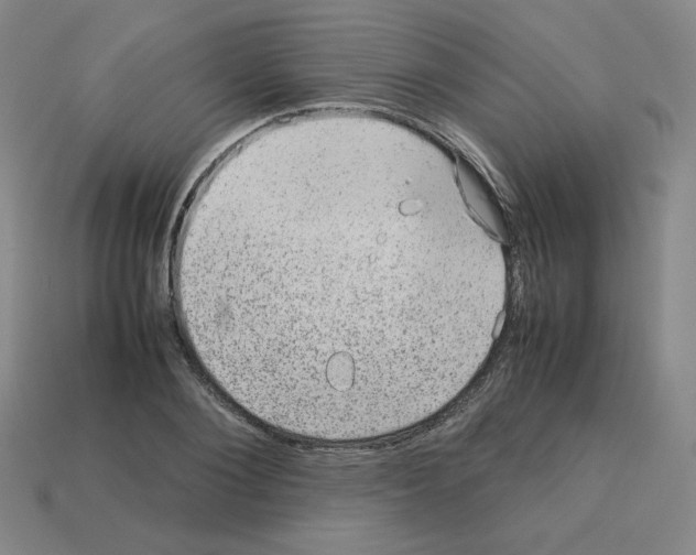 X0000112770884200910011234