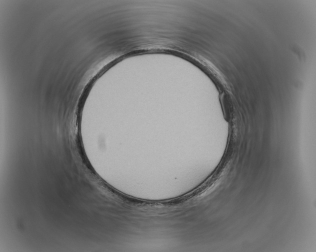 X0000112770885200910011234