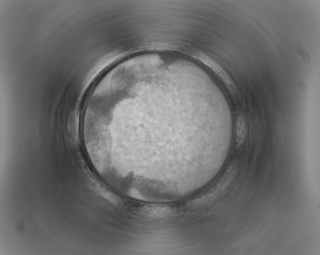 X0000112770886200910011234