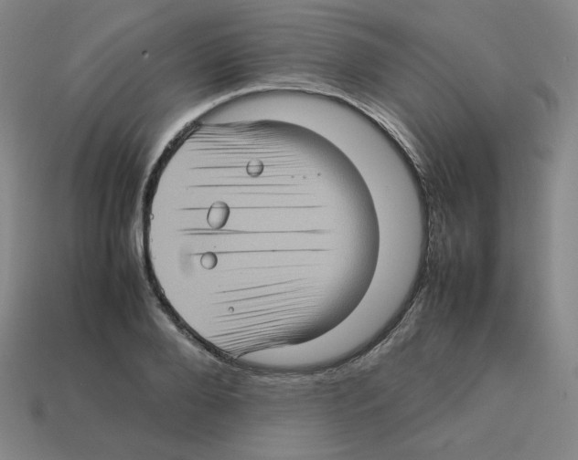 X0000112770888200910011234