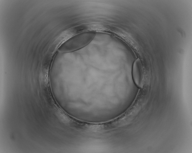 X0000112770889200910011234