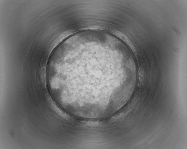 X0000112770890200910011234