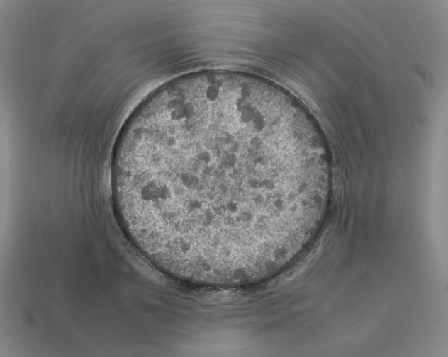 X0000112770891200910011234