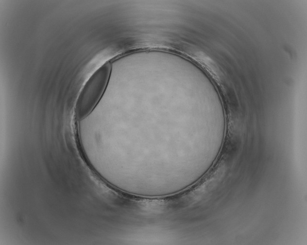 X0000112770893200910011234