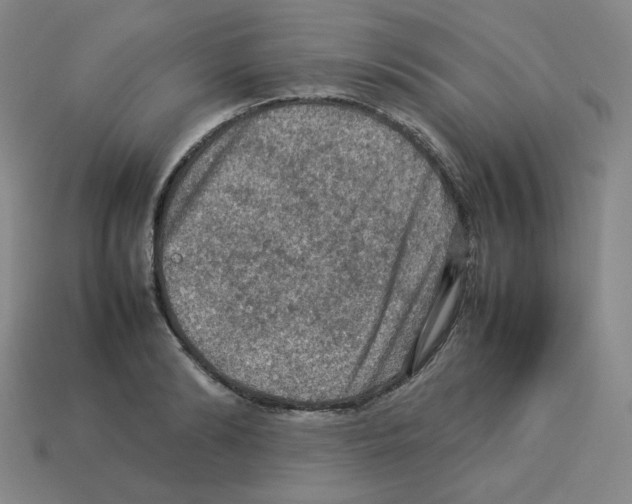 X0000112770894200910011234