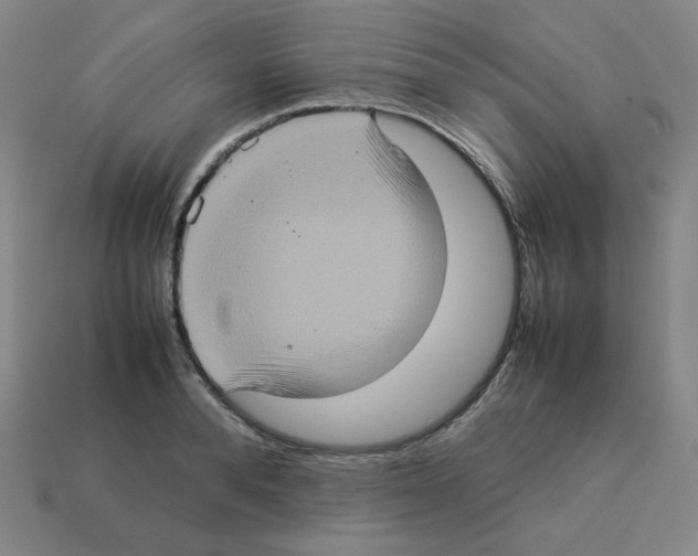 X0000112770896200910011234