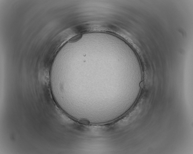 X0000112770897200910011234