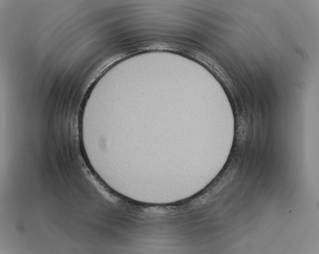 X0000112770898200910011234