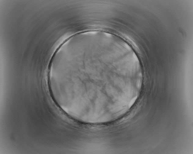 X0000112770899200910011234