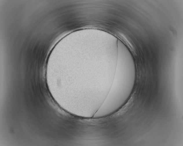 X0000112770900200910011234