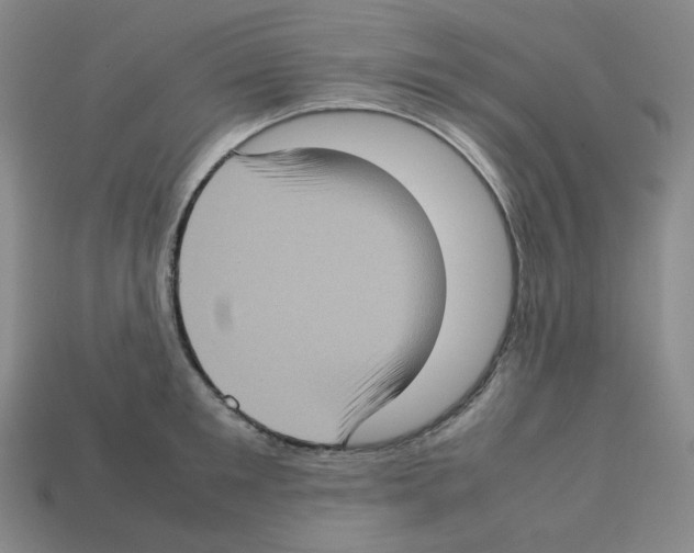 X0000112770901200910011234