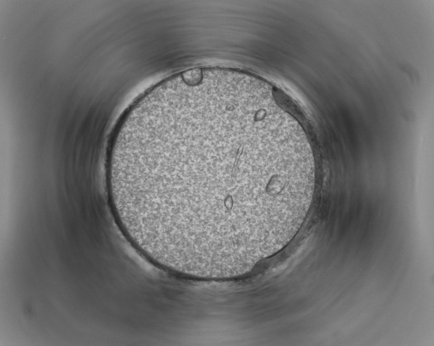 X0000112770902200910011234